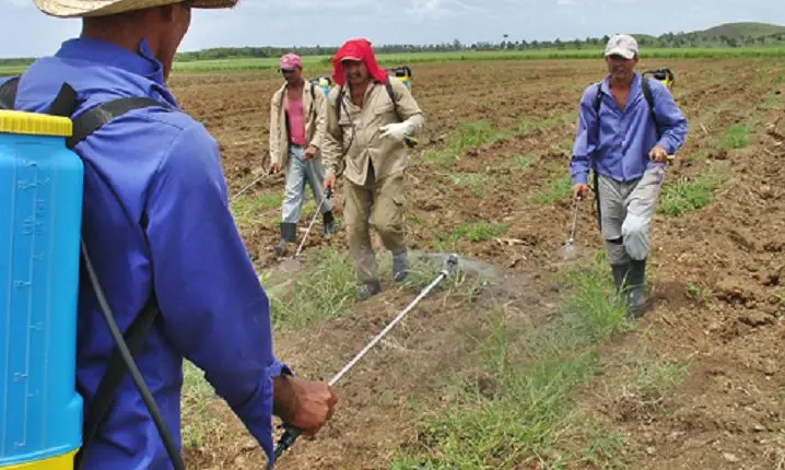 Bolivia fertilizantes Cuba