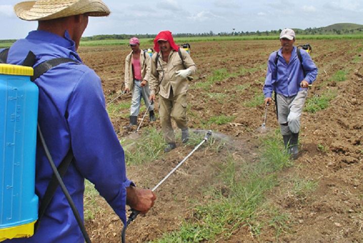 Bolivia fertilizantes Cuba