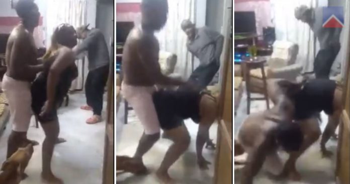 Perro celoso agrede a cubano en plena fiesta porque bailaba con su dueña