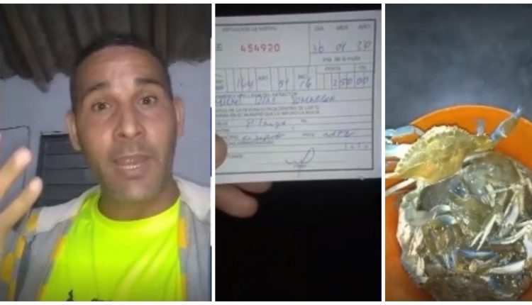 jaibas cubano