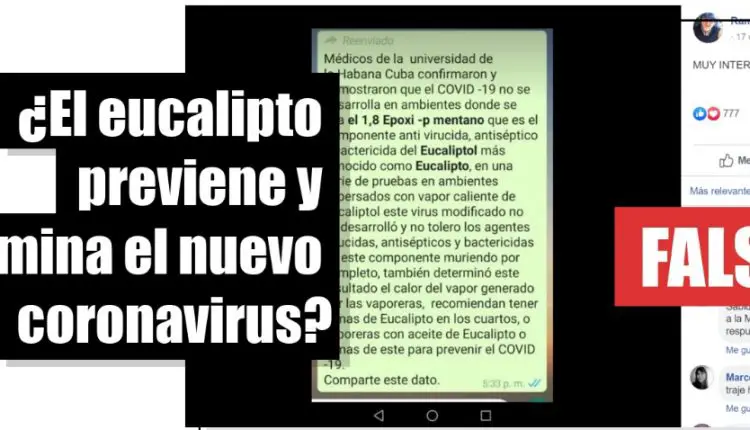 Desmienten que en Cuba se haya desarrollado un tratamiento efectivo contra el coronavirus a base de eucalipto