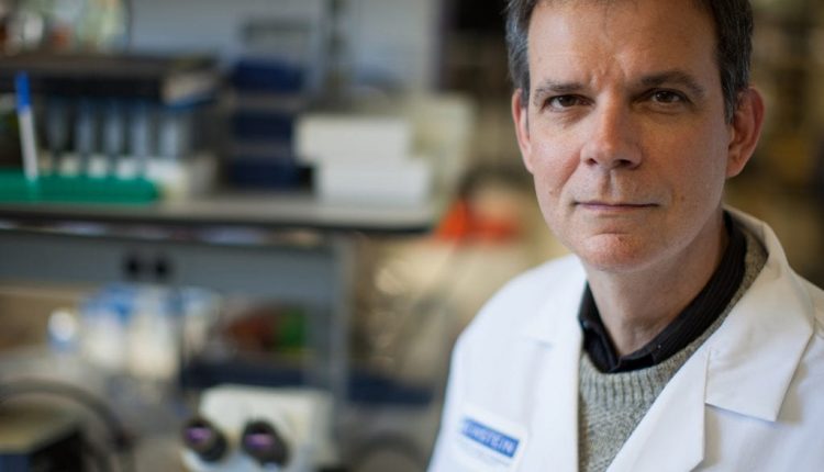 Doctor cubano residente en Estados Unidos está al frente de un proyecto médico contra el coronavirus