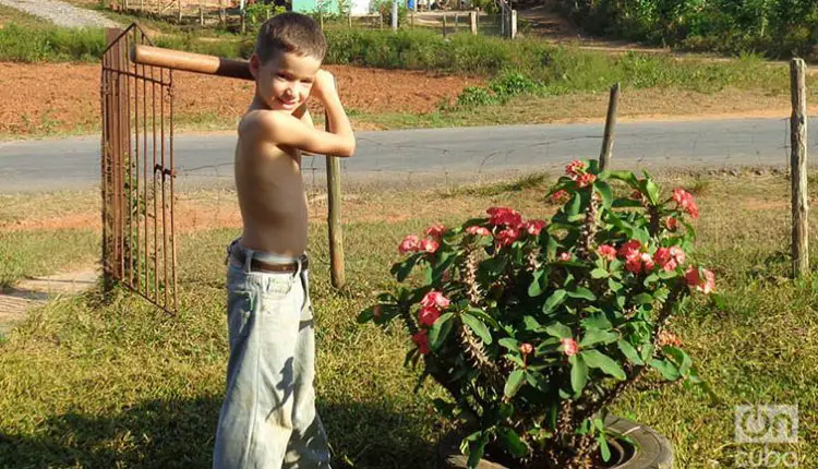Loren, la conmovedora historia del pequeño "bello durmiente" de Pinar del Río