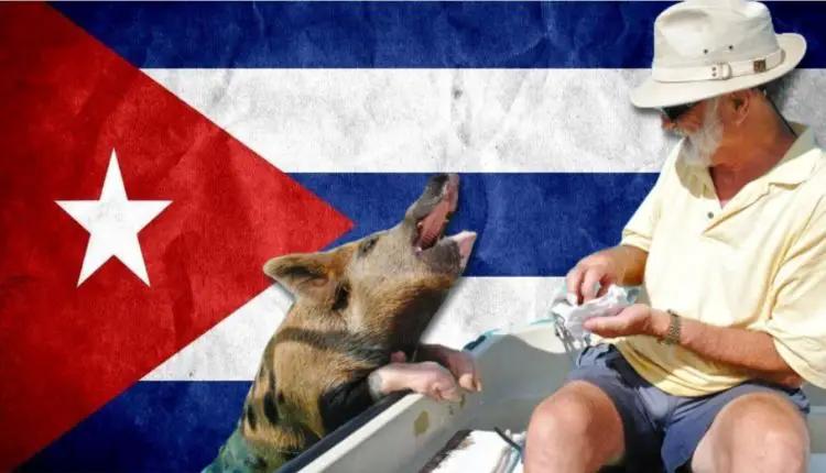 Gobierno cubano asegura que la falta de turistas es la culpable de la escasez de carne de cerdo
