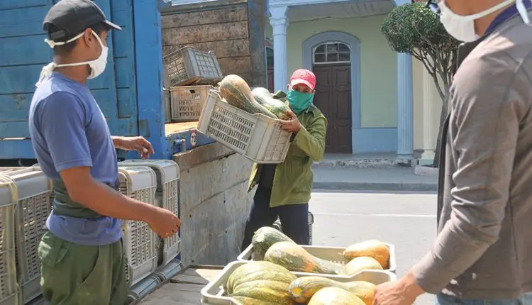 Cuba recibe donativo de 1.5 millones de euros de la Unión Europea para producir alimento