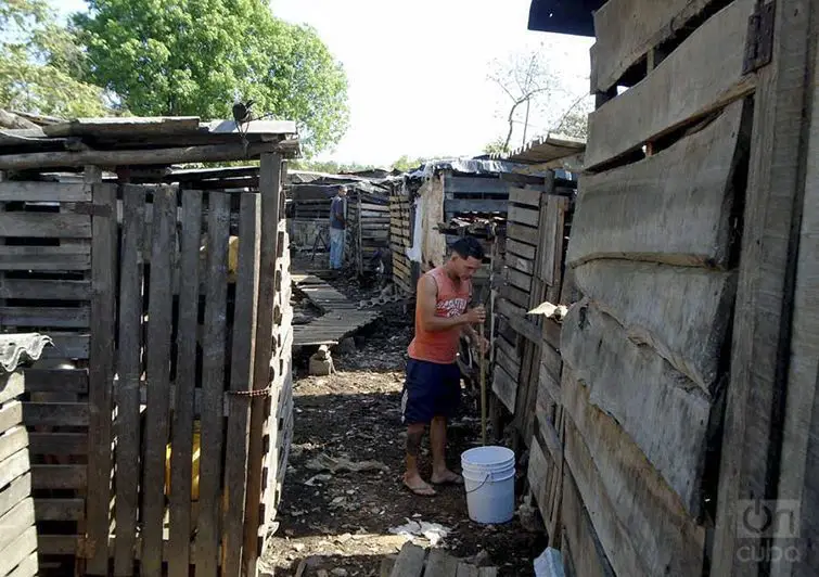 Este pequeño pueblo en Pinar del Río se ha convertido en el "paraíso" pestilente de los cerdos