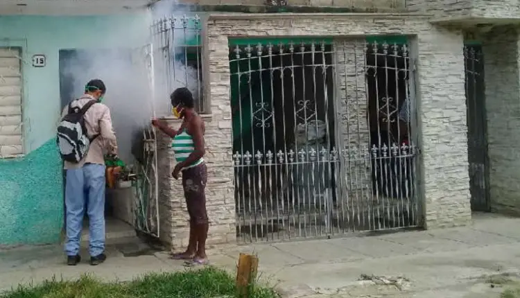 Autoridades cubanas advierten sobre peligrosos focos de mosquitos Aedes Aegypti