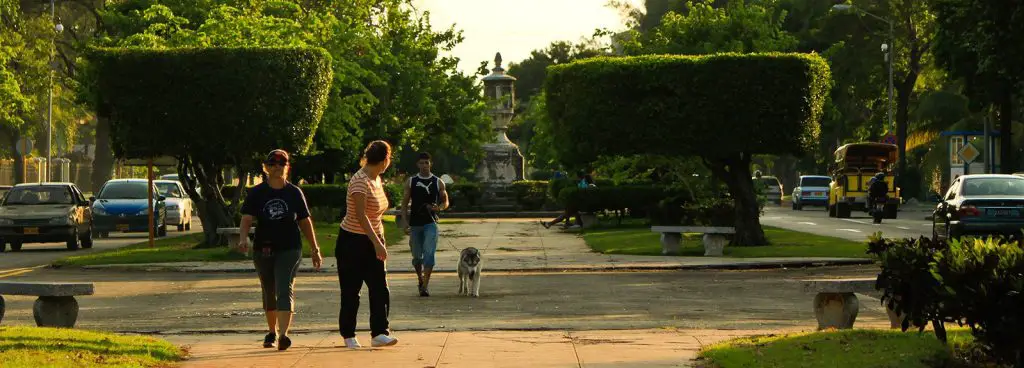 ¿Sabías que la Quinta Avenida de La Habana se llena de cangrejos de noche?