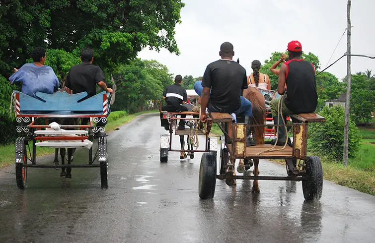 Carreras clandestinas de caballos, la diversión de un domingo en Cuba