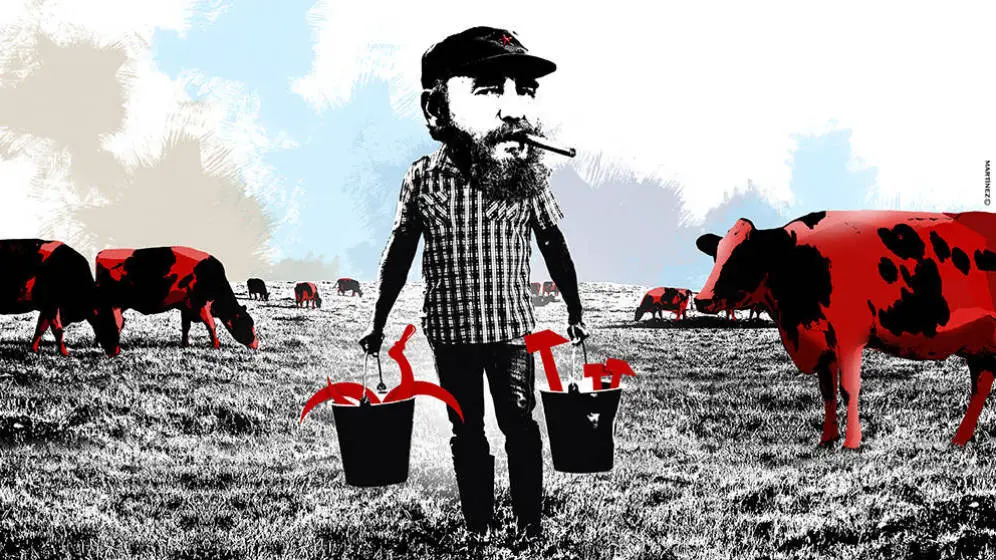 Búfalos de agua, el invento de Fidel Castro para resolver el problema del hambre en Cuba