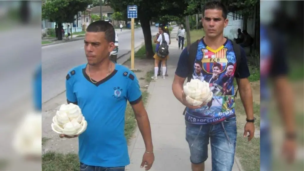 Los caminantes, dos cubanos que luchan el plato de comida vendiendo cascos de toronjas por las calles