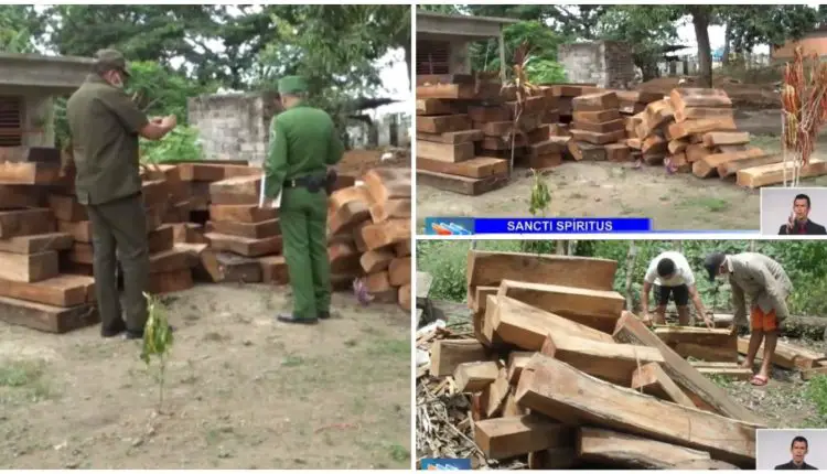 Operativo policial en Sancti Spíritus decomisa más de 2500 pies de maderas preciosas