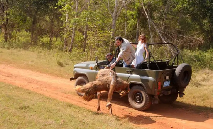 Cayo Saetía, el safari secreto de Cuba que se le ocurrió a Fidel Castro