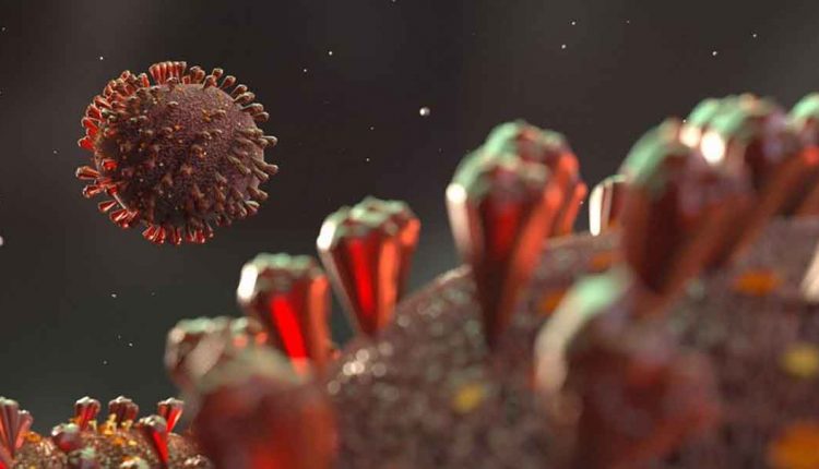 Hace poco más de un mes, el Centro de Estudios Avanzados de Cuba (CEA) y el Instituto de Medicina Tropical Pedro Kourí (IPK) lograron capturar la primera imagen tomada en Cuba del coronavirus a partir de muestras de pacientes infectados con la enfermedad que estaban ingresados en hospitales de la Isla. Utilizaron la técnica de Microscopía Electrónica de Barrido en muestras tomadas de pacientes cubanos, lo que permite reproducir imágenes de alta resolución de la superficie de una muestra. Las imágenes demuestran que las figuras del coronavirus que circulan en las redes sociales son meras recreaciones y que la verdadera cara del virus del SARS-CoV-2 dista mucho de la que tenemos grabada en nuestra mente.