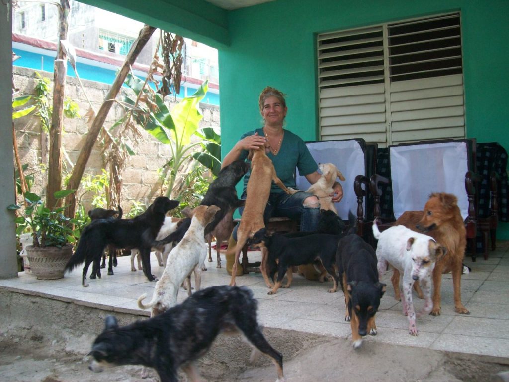 Esta cubana tiene en su casa más de 100 perros y 100 gatos que han sido abandonados