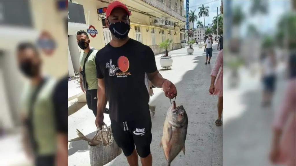 No hay pescado en Cuba... pero tampoco lo habrá, como asegura el propio Gobierno