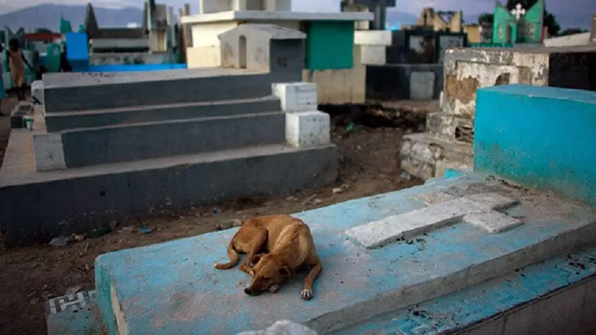 La curiosa historia de Cumplidor, el perro que acompañaba a los difuntos en Camagüey