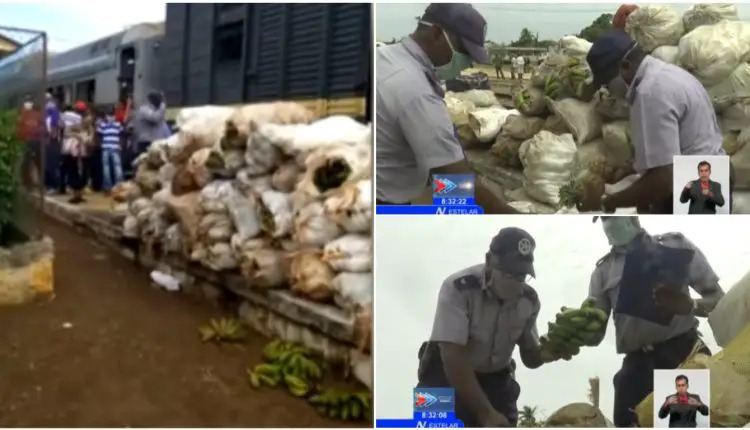 Operativo policial detecta un tren que viajaba por Ciego de Ávila cargado de productos agrícolas para el mercado negro
