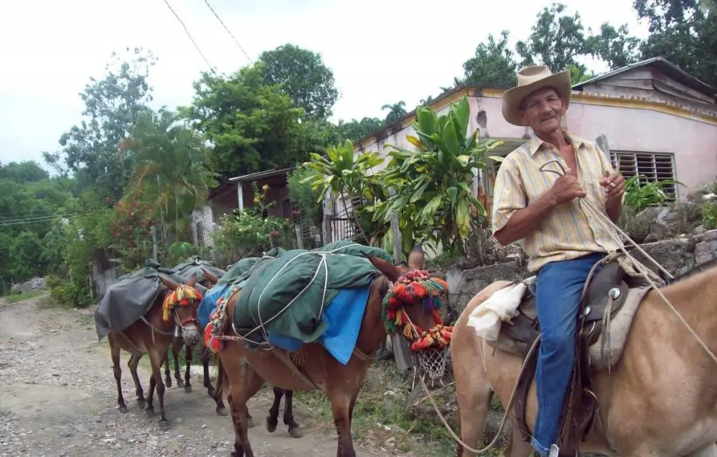 Los arrieros, una tradición campesina que se pierde en las lomas de Cuba