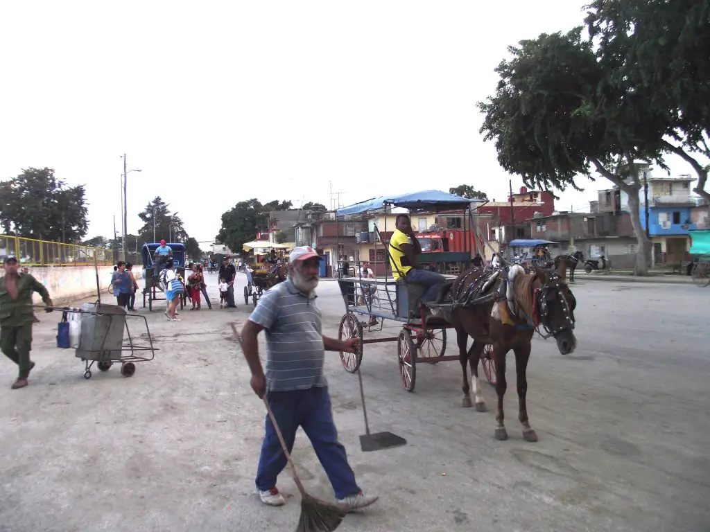 ¿Coches de caballo en Bayamo? De tradición a estiércol y orine por todas partes...