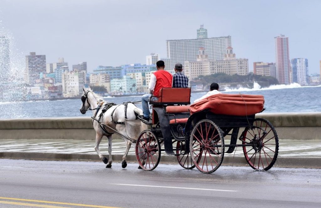 Coches de caballos, los primeros boteros que tuvo La Habana