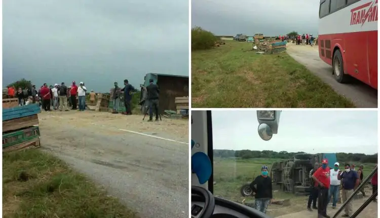 Cientos de palomas mensajeras muertas tras volcarse un camión en Cuba que las transportaba hacia el oriente del país