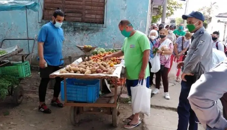 Prensa oficialista reconoce que cientos de puntos de venta en agromercados por cuenta propia han tenido que cerrar sus tarimas en Cuba