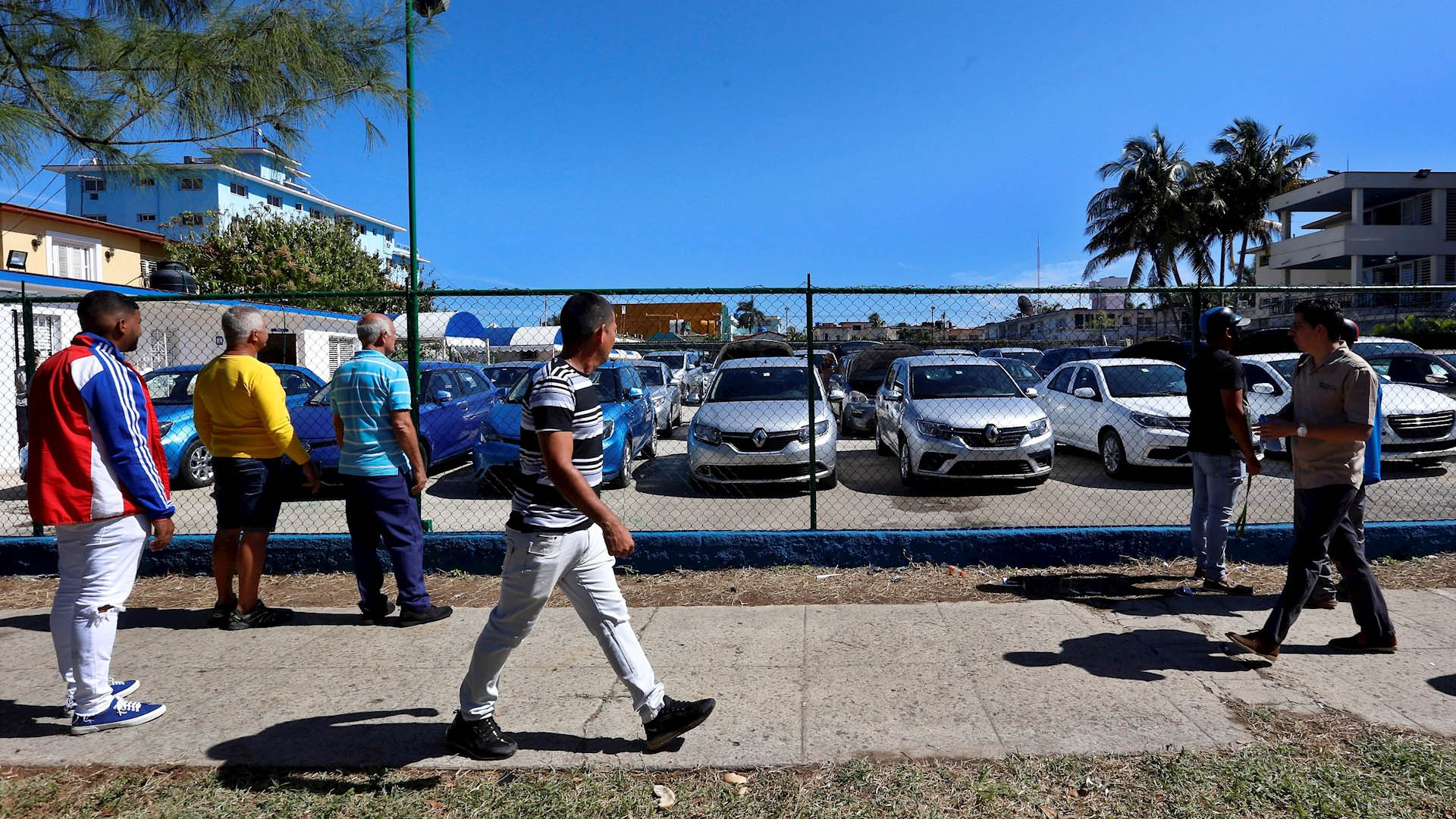 ¿Quieres importar un auto nuevo a Cuba legalmente? Estos son los pasos a seguir!!