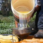 Tras las rejas termina grupo de cubanos que robaron miles de litros de combustible al Estado en la Empresa de Ferrocarriles