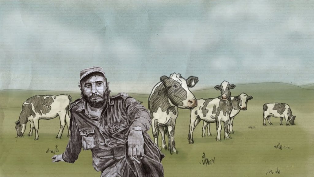 Vacas enanas, conejos gigantes, Ubre Blanca, búfalos de agua... Los inventos de genética que Fidel Castro quiso aplicar en Cuba y nunca funcionaron