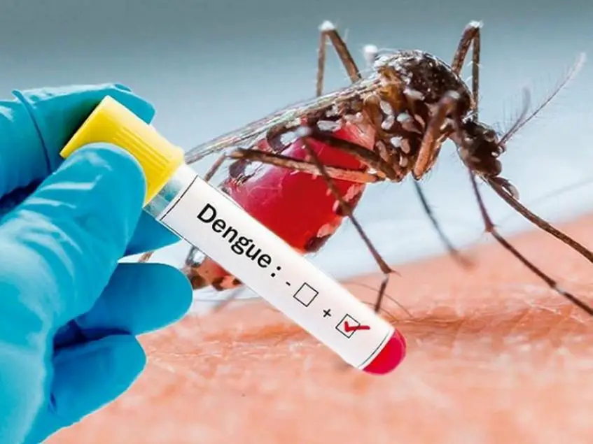 El dengue en Cuba ha causado más desgracias que la pandemia de COVID-19