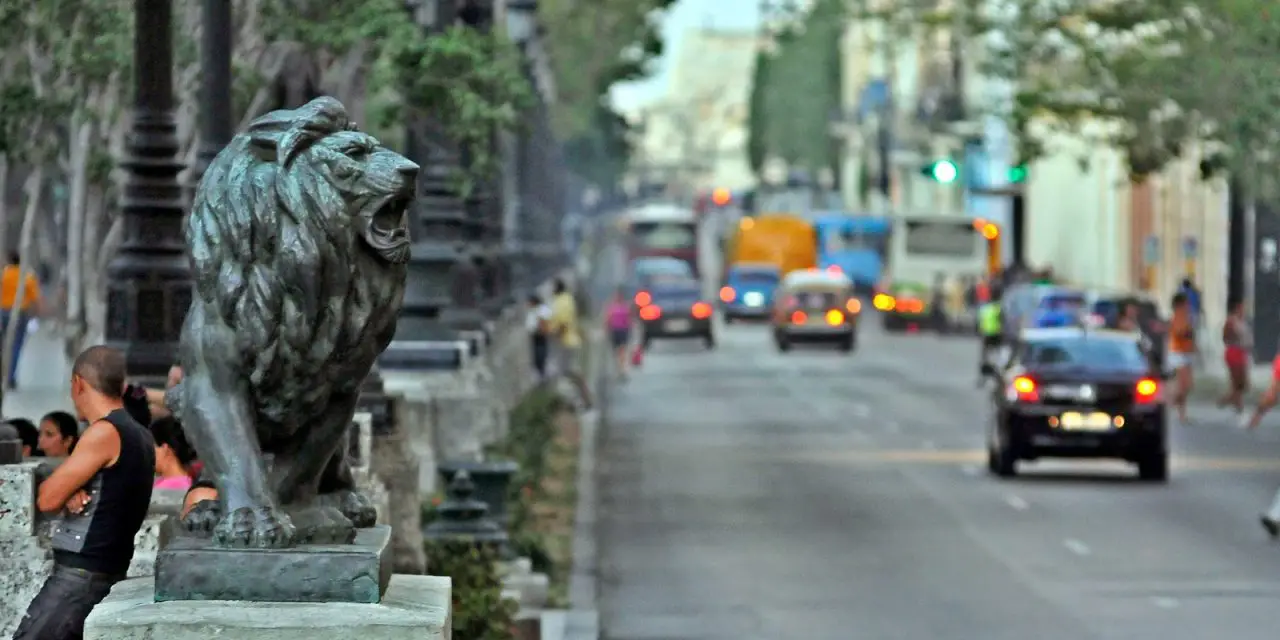 ¿Sabes cuál es el animal que más abunda en La Habana?... No, no son ni los perros ni los gatos