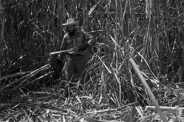 El debacle de la zafra azucarera en Cuba solo tiene un culpable y se llamaba Fidel Castro