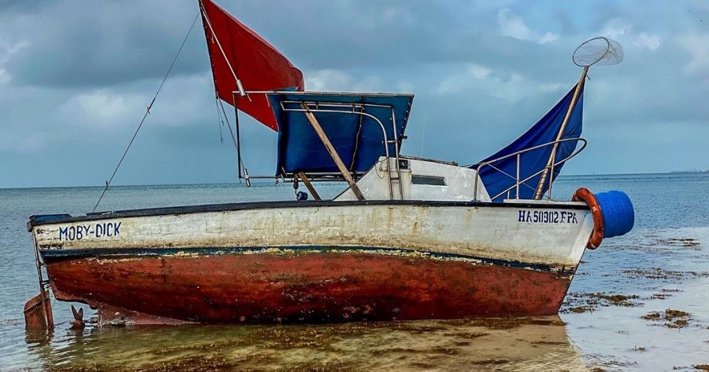 Ocho balseros cubanos que llegaron a las costas de Florida en un bote pesquero son arrestados por la Patrulla Fronteriza y se espera que sean deportados a Cuba