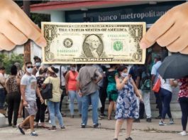Aumenta el interés por comprar dólares en Cuba a pesar de los altos precios en el mercado informal
