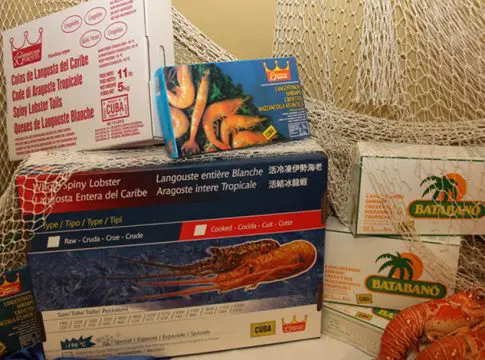 Langostas, camarones y anguilas: los productos cubano que comen los chinos, pero que están desaparecidos en la isla
