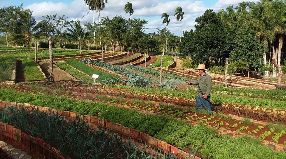 Plan 160: fincas, mansiones y alimentos de todo tipo para los altos dirigentes en Cuba