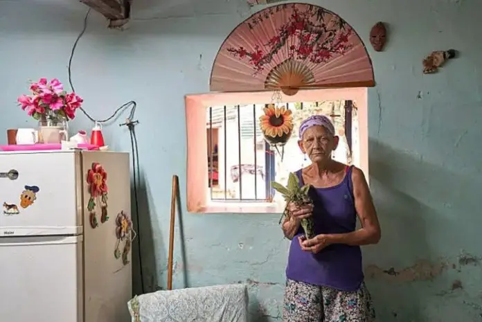 Los remedios naturales y los yerberos siguen siendo una opción recurrente en Cuba ante la escasez de medicinas