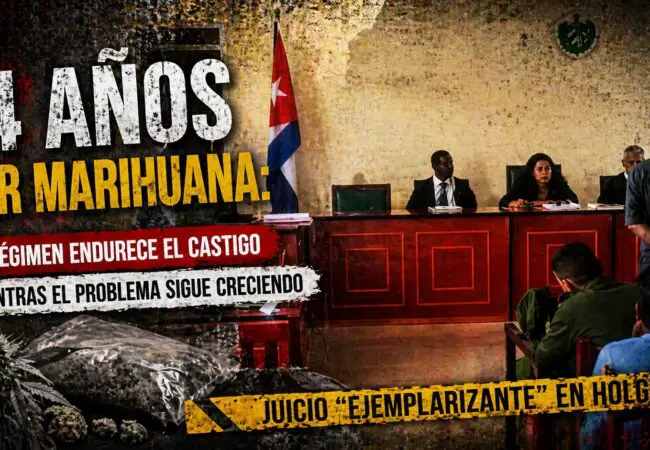 Juicio “ejemplarizante” en Holguín: 14 años por tráfico de marihuana en Cuba