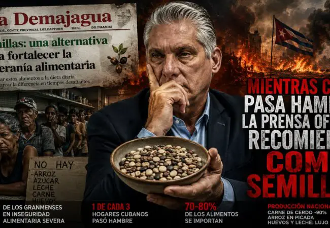 “Coman semillas”: la última propuesta oficial delrégimen en una Cuba donde millones pasan hambre